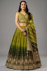 Green Ombre Chinon Sequin Embroidered Pleated Lehenga