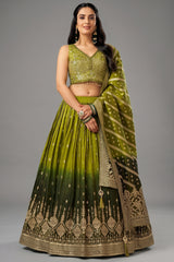 Green Ombre Chinon Sequin Embroidered Pleated Lehenga