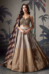 Silver and Golden Tissue Lehenga with Handwork Blouse
