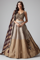 Silver and Golden Tissue Lehenga with Handwork Blouse
