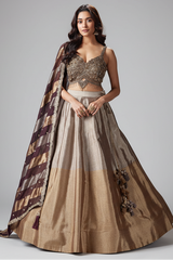 Silver and Golden Tissue Lehenga with Handwork Blouse