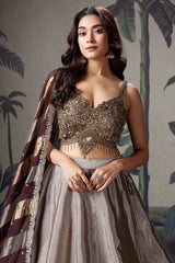 Silver and Golden Tissue Lehenga with Handwork Blouse