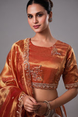 Grey and Orange Panelled Tissue Lehenga with Copper Tissue Border Dupatta