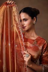 Grey and Orange Panelled Tissue Lehenga with Copper Tissue Border Dupatta