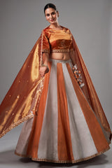 Grey and Orange Panelled Tissue Lehenga with Copper Tissue Border Dupatta