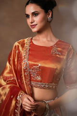 Grey and Orange Panelled Tissue Lehenga with Copper Tissue Border Dupatta