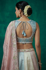 Multicolor Pastel Panelled Organza Lehenga Choli with Peacock Sequin Embroidery