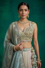 Multicolor Mint Panelled Organza Lehenga Choli with Botanical Peacock Embroidery
