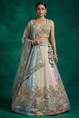 Multicolor Mint Panelled Organza Lehenga Choli with Botanical Peacock Embroidery
