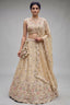 Warm Beige Tissue Lehenga Choli with Pastel Scalloped Mirror Embroidery