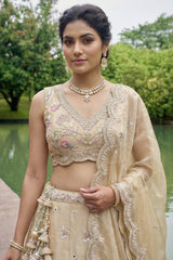 Warm Beige Tissue Lehenga Choli with Pastel Scalloped Mirror Embroidery