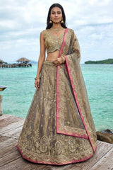 Bronzed Coffee Metallic Tissue Lehenga Choli with Pearl Sequin Work