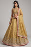 Olive Gold Tissue Lehenga Choli with Jharokha Pearl & Sequin Embroidery