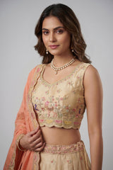Chiku Beige Tissue Lehenga Choli with Elephant Motifs & Contrast Coral Dupatta