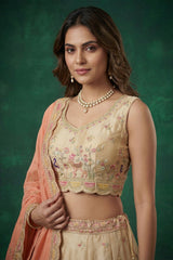 Chiku Beige Tissue Lehenga Choli with Elephant Motifs & Contrast Coral Dupatta