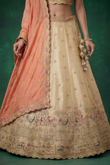 Chiku Beige Tissue Lehenga Choli with Elephant Motifs & Contrast Coral Dupatta