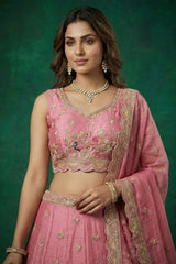 Pink Tissue Lehenga Choli with Elephant and Peacock Heritage Embroidery