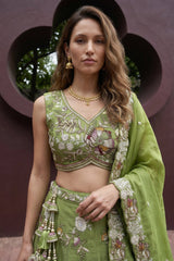 Pista Green Tissue Lehenga Choli with Botanical Embroidery and Tassels