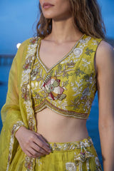 Lime Yellow Tissue Lehenga Choli with Scalloped Floral Embroidery