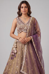 Bronze Tissue Lehenga Choli with Contrast Net Dupatta
