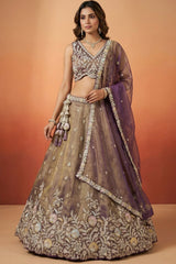 Bronze Tissue Lehenga Choli with Contrast Net Dupatta