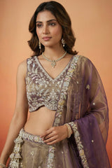 Bronze Tissue Lehenga Choli with Contrast Net Dupatta