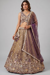 Bronze Tissue Lehenga Choli with Contrast Net Dupatta