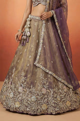 Bronze Tissue Lehenga Choli with Contrast Net Dupatta