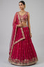 Rani Pink Pleated Georgette Lehenga Choli with Embroidered Border