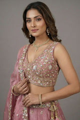 Blush Pink Tissue Lehenga Choli with Floral Lattice Embroidery