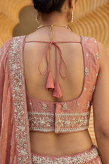 Rust Tissue Lehenga Choli with Vertical Sequin Stripe Embroidery