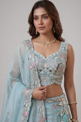Sky Blue Lehenga Choli with Woodland Floral Embroidery