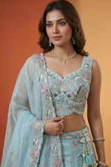Sky Blue Lehenga Choli with Woodland Floral Embroidery