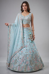 Sky Blue Lehenga Choli with Woodland Floral Embroidery