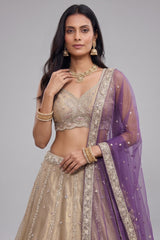 Cream Gold Tissue Embroidered Scalloped Lehenga Choli