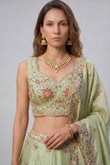Pista Green Lehenga Choli with Peacock Floral Border