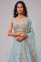 Celestial Sky Blue Lehenga Choli with Peacock Floral Border