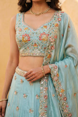 Celestial Sky Blue Lehenga Choli with Peacock Floral Border