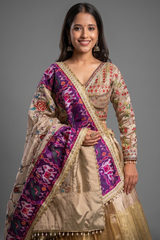 Golden Ombre Tissue Pleated Desginer Lehenga with Patola Border