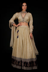 Off White Tissue Weaving and V Neckline Lehenga