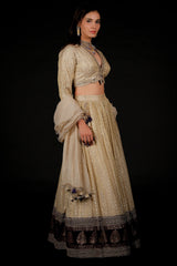 Off White Tissue Weaving and V Neckline Lehenga