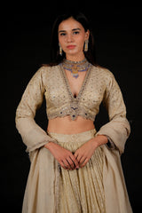 Off White Tissue Weaving and V Neckline Lehenga