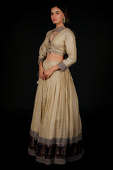 Off White Tissue Weaving and V Neckline Lehenga