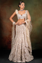 Champagne Beige Net Designer Embroidered Mermaid Style Lehenga Set