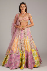 Multi Colored Silk Printed and Woven Jaal Patch Work Lehenga