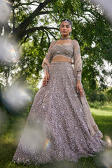 Brown Net Designer Embellished Lehenga with Heavy Work
