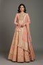 Light Pink Tissue Zardosi Worked Lehenga with Long Top
