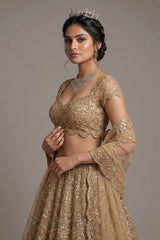 Golden Net Designer All Over Sequinned Lehenga