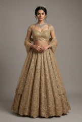 Golden Net Designer All Over Sequinned Lehenga