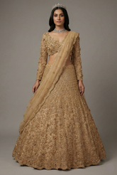 Champagne Beige Designer Sequinned and 3D Flower Worked Lehenga